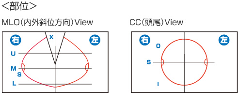 部位