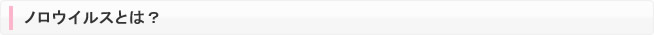 ノロウイルスとは？