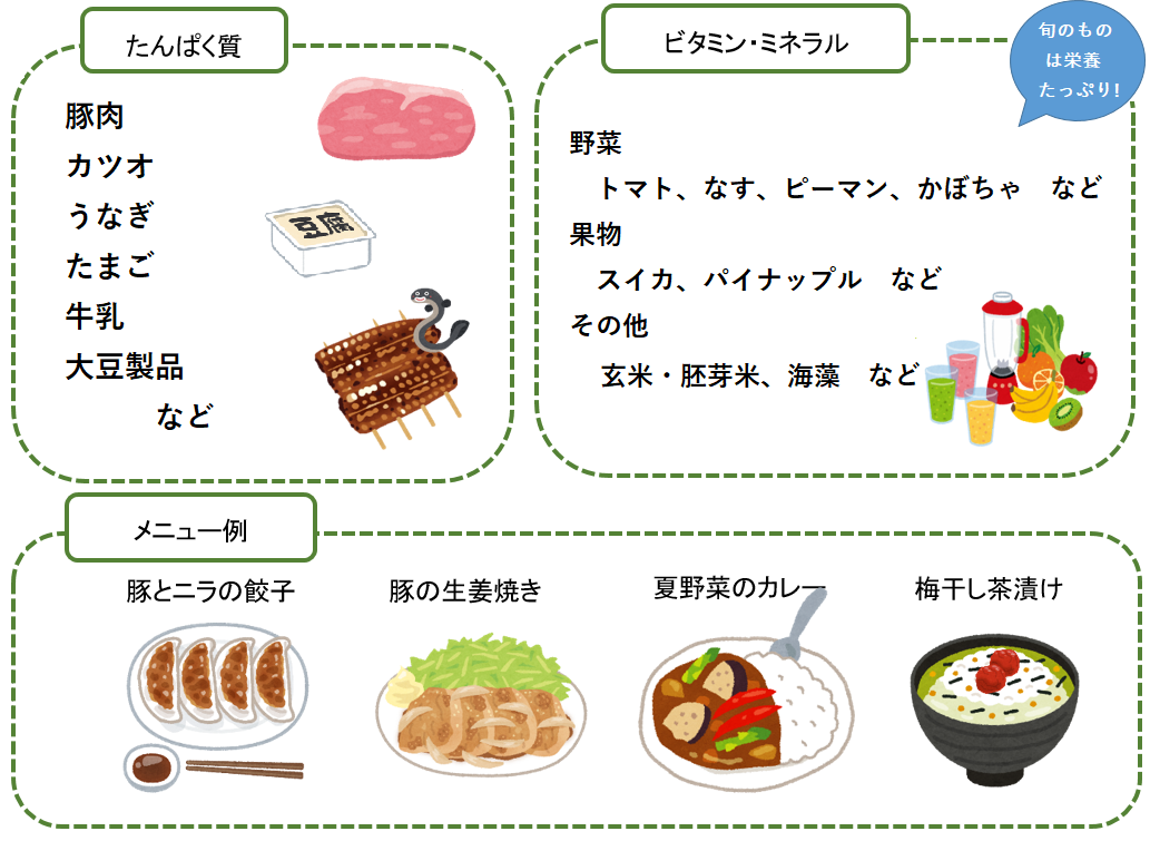 熱中症・夏バテ対策はこれで決まり！【栄養指導する整体師　監修　高品質サプリ】