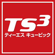 ts3